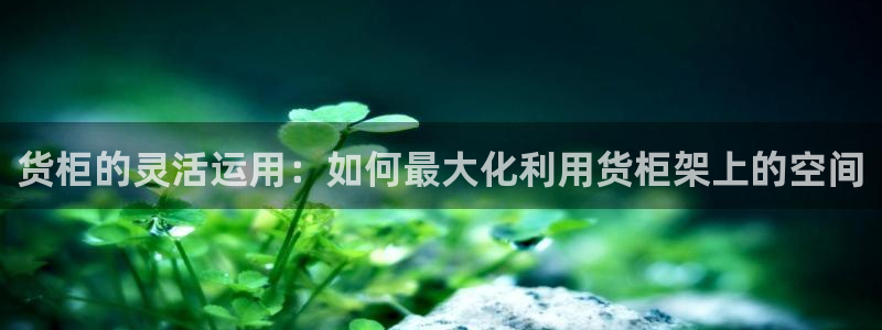 杏运汽车