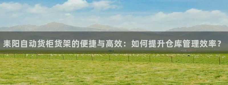 杏运汽车：耒阳自动货柜货架的便捷与高效：