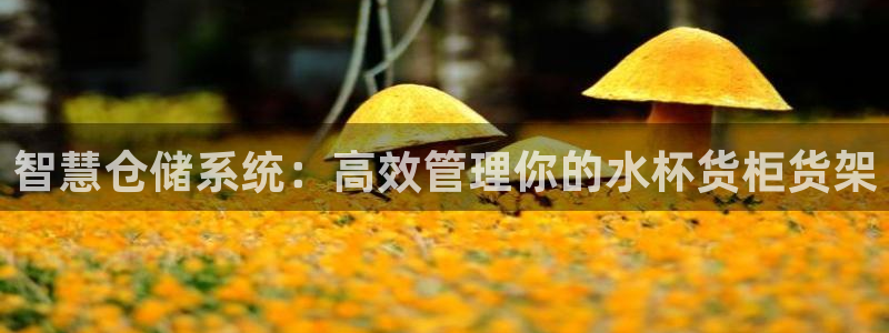 杏运平台官方网站：智慧仓储系统：高效管理