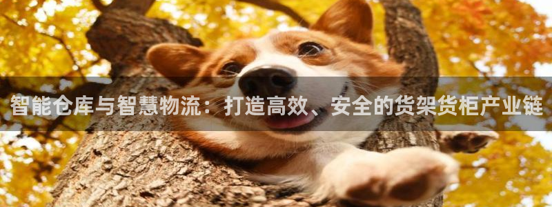 杏运体育官方网址