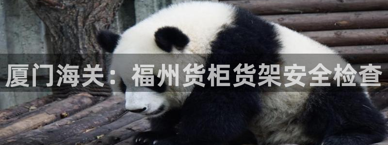 杏运注册平台