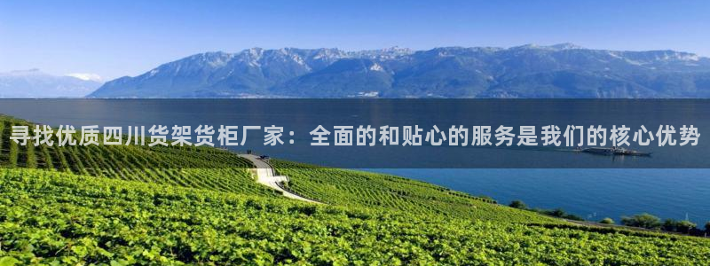 杏运平台注册登录：寻找优质四川货架货柜厂