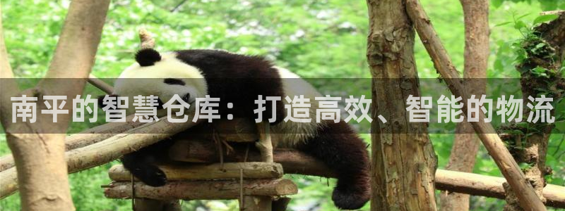 杏运注册登录地址
