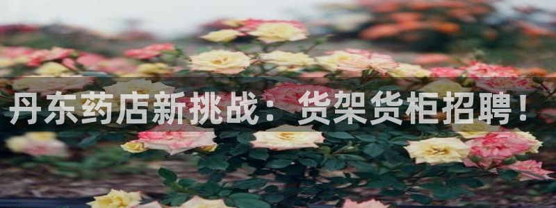 杏运体育官网