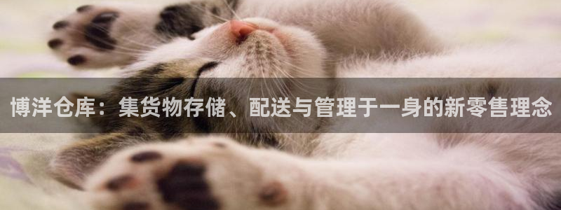 杏运平台登陆：博洋仓库：集货物存储、配送