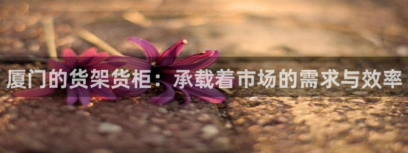 杏运体育登录