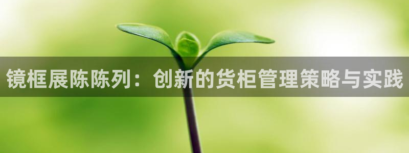 杏运登录：镜框展陈陈列：创新的货柜管理策