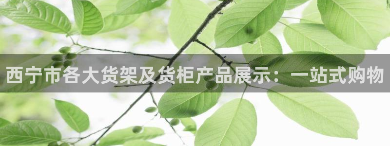 杏运体育怎么样