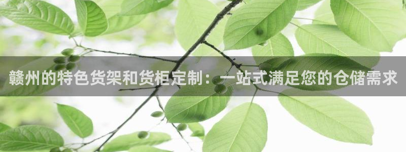 杏运体育平台