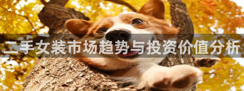 杏运体育娱乐