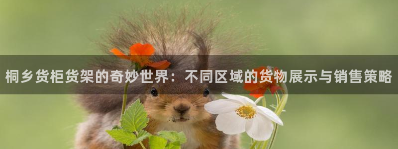 杏运注册