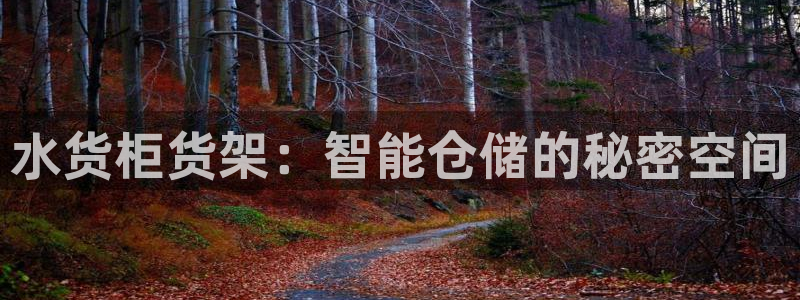 杏运体育平台正规吗安全吗可信吗：水货柜货