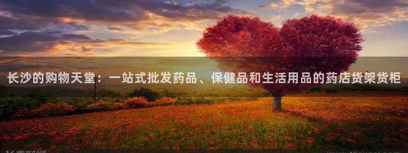 杏运平台官网：长沙的购物天堂：一站式批发